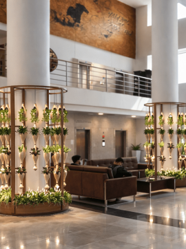 ChatGPT Image Feb 26, 2026, 11_50_10 AM